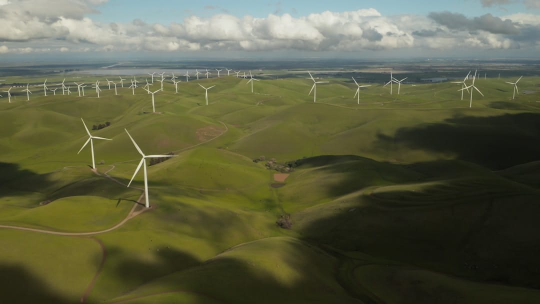 9 Proven Sustainability Strategies to Reduce Carbon Footprint in Small Projects (2025 Guide)🌱